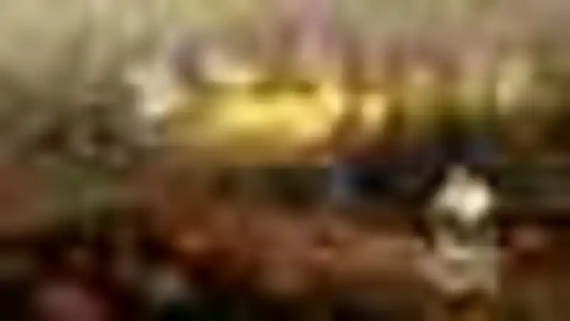 Olha's Community name logo